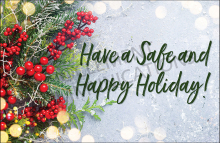 Holiday safety tips: keep live trees watered, check lights for frayed wires, and turn off decorations.