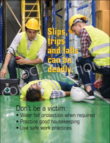 Industrial fall protection safety poster titled "Slips, trips and falls can be deadly." highlighting mandatory PPE, housekeeping, and site safety rules.