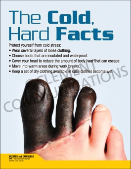 The Cold Hard Facts Cold Stress Safety Poster | Winter Safety 