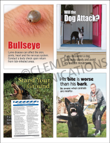 Outdoor Focus Pack 1: Animal Bites safety posters and meeting guide set by Clement1