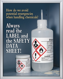 The Chemical Industry Poster Subscription is geared toward management and business owners who have a common goal...to encourage workers to always stay alert when dealing with powerful chemicals.