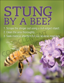 Stung By A Bee Poster