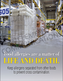Life and Death Poster