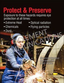 Protect and Preserve Poster