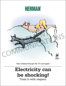 Treat Electricity With Respect Warning Safety Poster