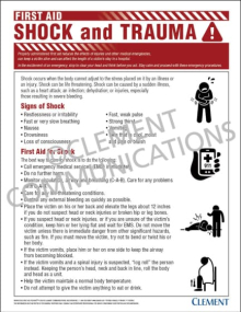 First Aid Shock and Trauma safety poster explaining the causes and life-threatening nature of medical shock in the workplace.