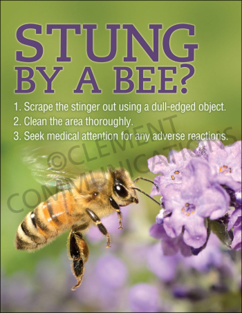 Stung By A Bee Poster