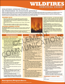 Emergency Preparedness Poster: Wildfire Survival Guide