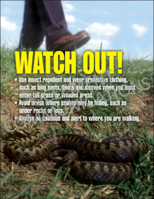 Watch Out-Snakes Poster