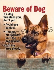 Beware of Dog Poster