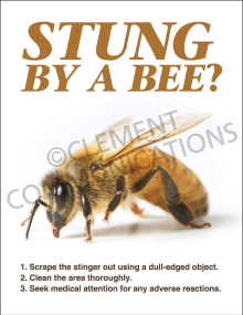 Stung By A Bee Poster
