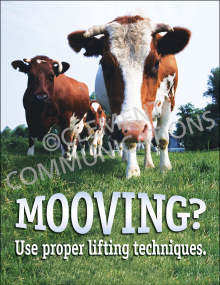 Mooving? Poster