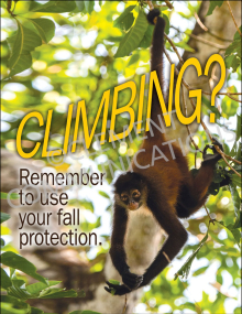 Climbing? Poster