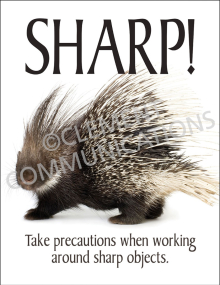 Sharp! Poster
