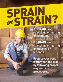 Ergonomics - Strains or Strains Poster