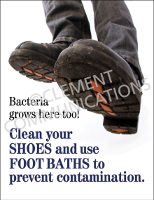 Bacteria Grows Poster