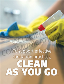 Effective Sanitation Poster