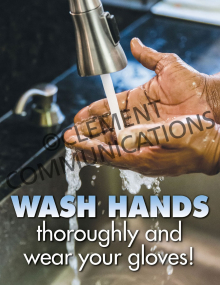 Food Safety - Wash Hands Poster