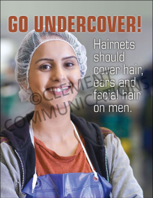 Go Undercover! Poster