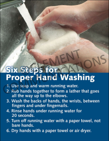 6 Steps to Hand Washing Poster