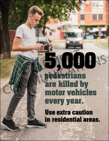 5000 Pedestrians Are Killed Poster