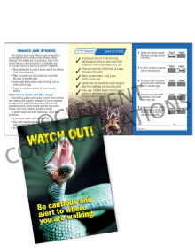 Outdoor Safety - Watch Out - Safety Pocket Guide with Quiz Card