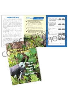 Outdoor Safety - Poisonous Plants - Safety Pocket Guide with Quiz Card