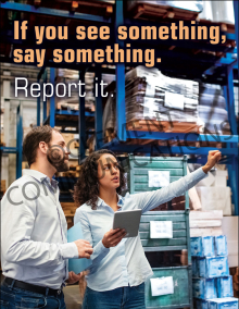 Report It Poster