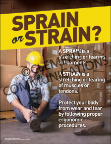 Sprain or Strain Poster