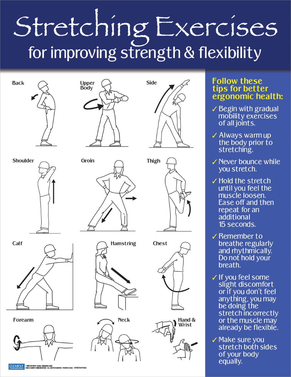 Stretching, Exercises, Ergonomics