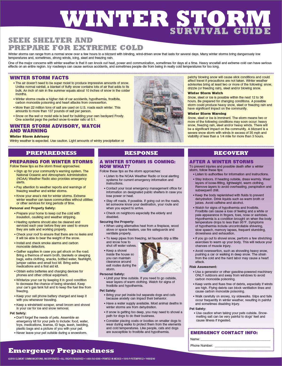 Winter Storm, Poster